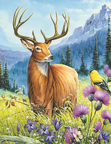 Благородный олень среди горных долин