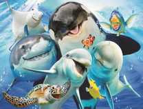 Веселые морские обитатели