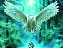 Сова с талисманов в густом лесу