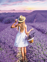 Девушка среди лавандового поля