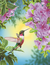 Колибри возле розовых цветов