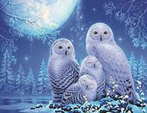 Семейство белых сов на фоне зимней сказки