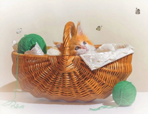 Рыжий котёнок в корзине с пряжей