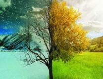 Лето и зима