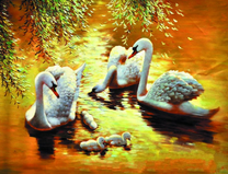 Лебеди со своим потомством