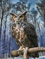 Большой филин на фоне зимнего леса