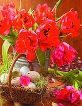Букет красных тюльпанов и корзинка яиц