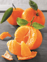 Сочный мандарин