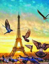 Голуби и Эйфелева башня