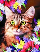 Желтоглазая кошка и яркие цветы