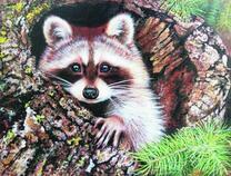 Енотик в дупле