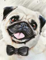 Нарядный мопс