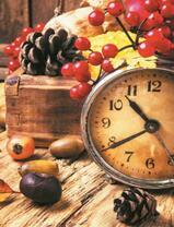 Осенний натюрморт с часами и шишками