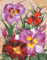 Красивая бабочка на крупных цветах