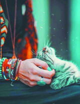 Дама гладит кошечку