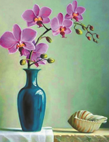 Орхидея и ракушка