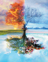 Дерево и времена года