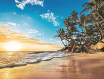 Песчаный пляж и пальмы