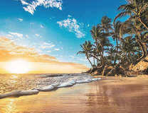 Пальмовый берег океана