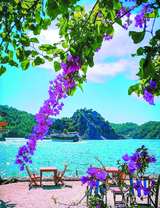 Вид на залив сквозь цветы