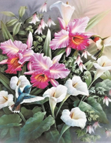 Колибри среди цветов