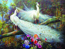 Белоснежные павлины на ветке