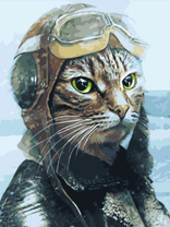 Кот суровый летчик