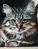 Портрет серенькой кошки