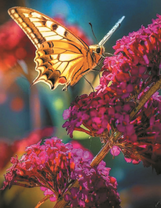 Солнечная бабочка на цветах