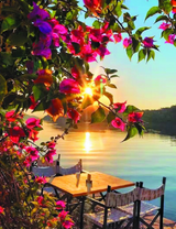 Столик на набережной под цветущим деревом