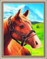 Лошадка на фоне гор