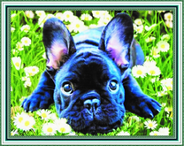 Ушастый щенок среди ромашек