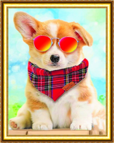 Щенок корги