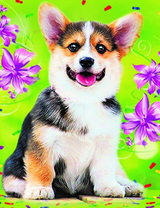 Маленький корги