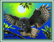 Полет филина в лучах луны