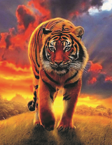 Тигр на фоне красивых туч