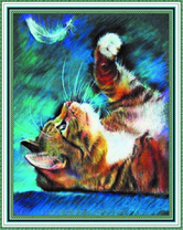 Котёнок и перышко