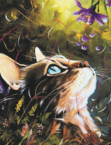 Кот и фиолетовый цветок