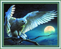 Белый филин на фоне луны