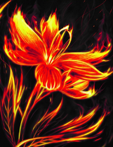 Огненный цветок