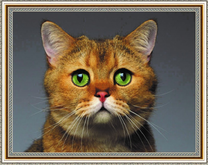 Котик с грустными глазками