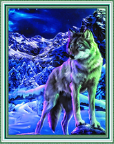 Волк в ночных горах