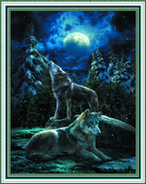 Волки на камнях под свет луны