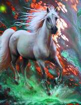 Белая лошадь в движении