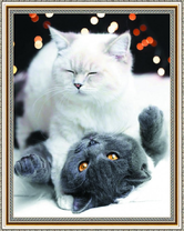 Белая кошечка и серый кот