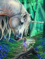 Единорог и маленькая фея