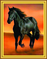 Красивый черный конь