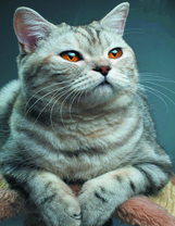 Милая желтоглазая кошечка