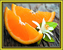 Сочные дольки апельсина и цветок