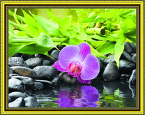 Бамбук, камни и орхидея